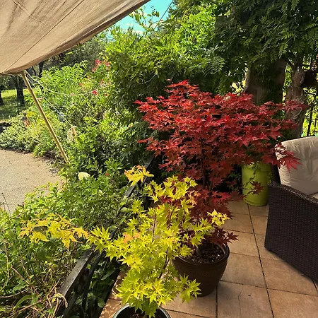 Maison Fleurie منزل للإقامة *